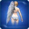 天使の片翼