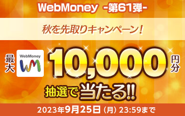 WebMoney-第61弾-『PSO2 ニュージェネシス ver.2』秋を先取りキャンペーン！
