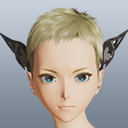 シュヴァルノワールヘアアクセ