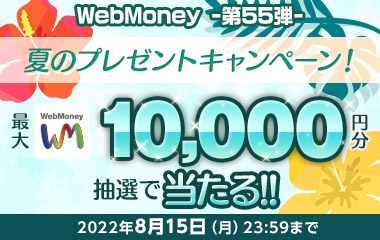 WebMoney-第55弾-『PSO2 ニュージェネシス』夏のプレゼントキャンペーン！